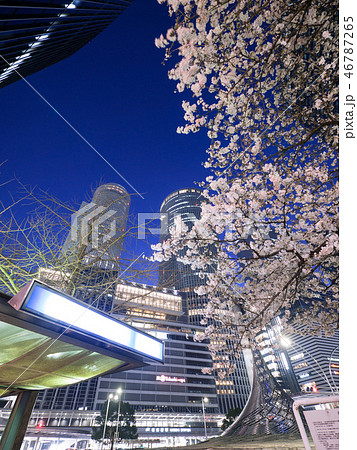 名古屋都市風景　名古屋駅前ロータリーと夜桜 46787265