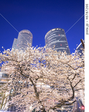 名古屋都市風景 JRセントラルタワーズと夜桜 名古屋都市風景 JRセントラルタワーズと夜桜 46787266