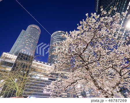 名古屋都市風景　名古屋駅前ロータリーと夜桜 46787269
