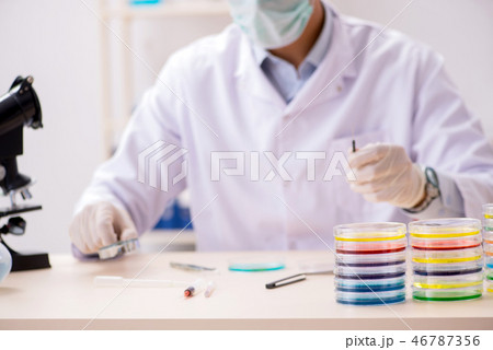 Young chemist working in the lab Young chemist working in the lab 46787356