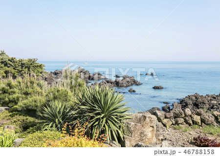 済州 西帰浦市 青い海 46788158