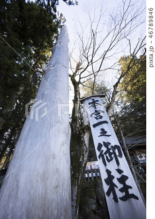 御柱 御柱 46789846