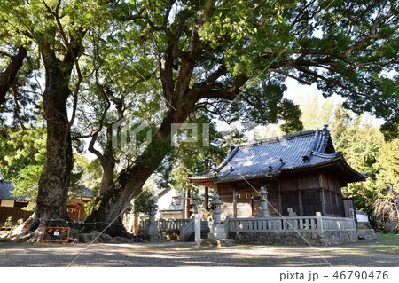 赤坂宿杉森八幡社 赤坂宿杉森八幡社 46790476