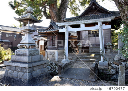 赤坂宿関川神社 赤坂宿関川神社 46790477
