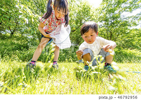 虫取り網を持ち笑顔で虫を追いかける子供2人 46792956