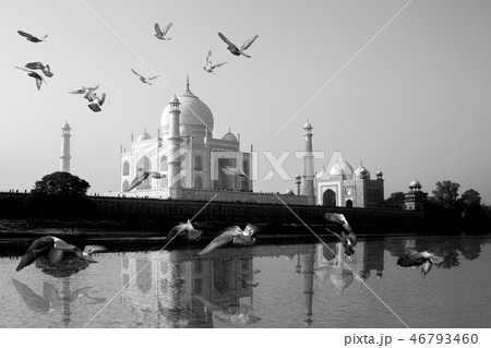 Taj Mahal reflected in Yamuna River view with bird flying across. Taj Mahal reflected in Yamuna River view with bird flying across. 46793460
