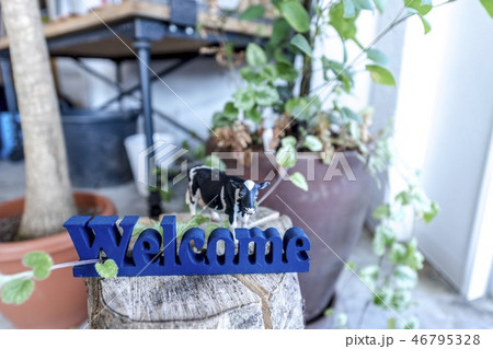 welcome 看板 46795328