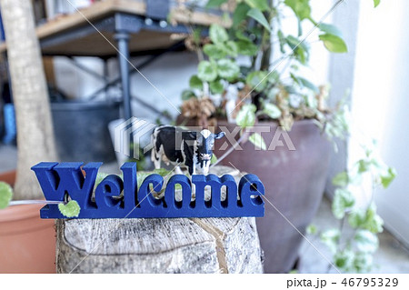 welcome 看板 46795329