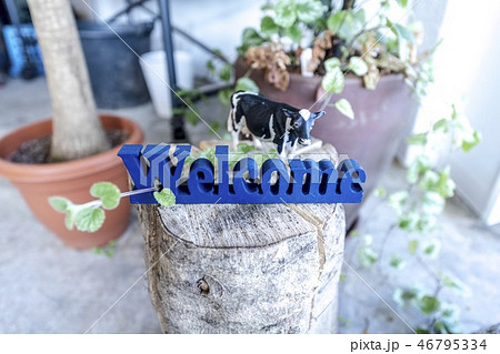 welcome 看板 46795334