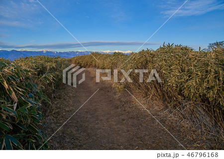 冬の山梨百名山の竜ヶ岳山頂から見た西側の登山道と南アルプス 冬の山梨百名山の竜ヶ岳山頂から見た西側の登山道と南アルプス 46796168