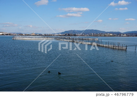 琵琶湖えり漁 46796779