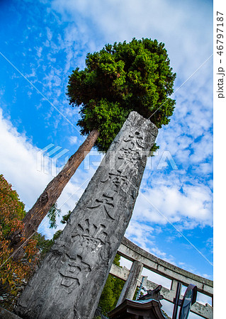 アジア人 アジアン アジア風 46797187