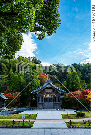 日本 ジャパン 日本国 46797193