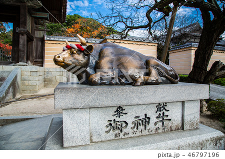 アジア人 アジアン アジア風 46797196