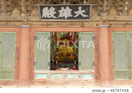 木 順天市 植物 46797438