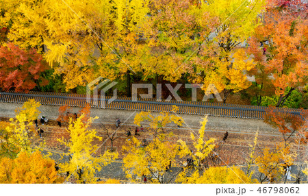 Deoksugung Palace in Seoul  46798062