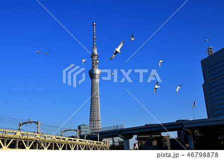 東京スカイツリーとゆりかもめ 46798878