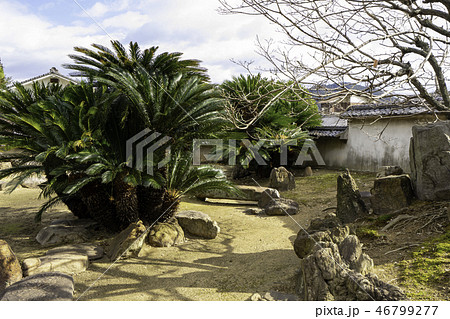 鞆の浦　古寺めぐり　備後安国寺　枯山水庭園 46799277