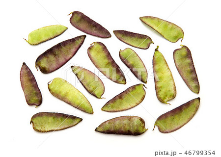 ウクマーミ 46799354