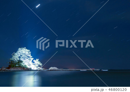 木 韓国 海 46800120