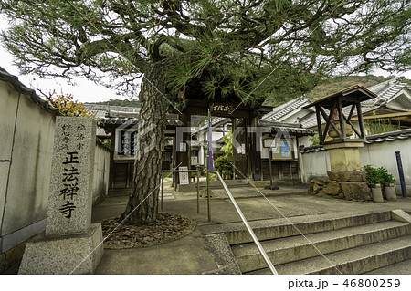 鞆の浦 古寺めぐり 正法寺 正法禅寺 鞆の浦 古寺めぐり 正法寺 正法禅寺 46800259
