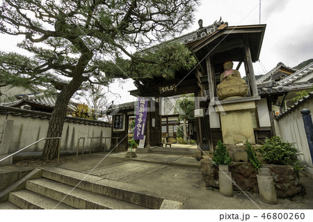 鞆の浦　古寺めぐり　正法寺　正法禅寺 46800260