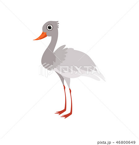 Beautiful white stork bird vector Illustration on a white background 46800649