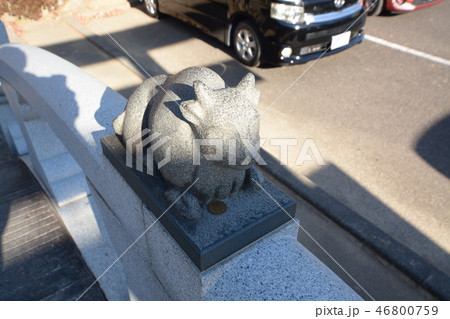 撫で牛　願い 46800759