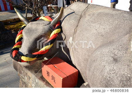 撫で牛　願いこと 46800836