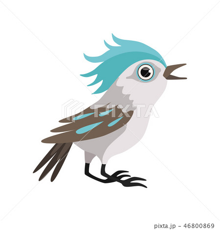 Beautiful blue jay bird vector Illustration on a white background 46800869