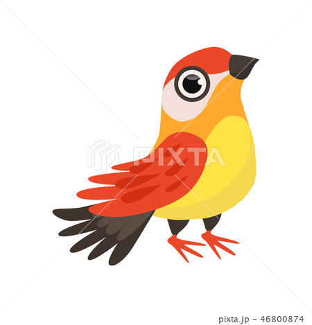 Colorful beautiful finch bird vector Illustration on a white background 46800874