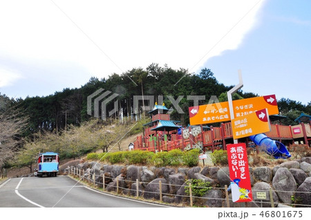 小田原こどもの森公園わんぱくランド 小田原こどもの森公園わんぱくランド 46801675
