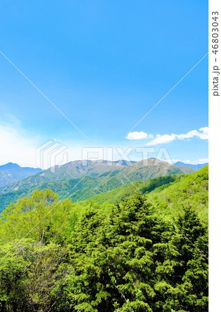 半月山から望む北関東の山並み 半月山から望む北関東の山並み 46803043