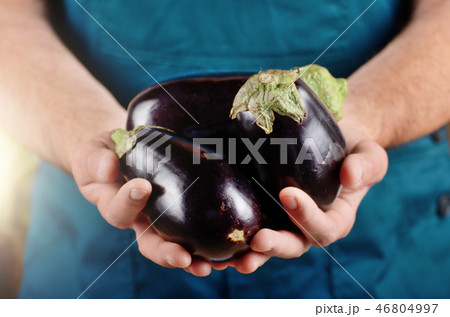 Farmer hold fresh organic eggplants in his hands Farmer hold fresh organic eggplants in his hands 46804997