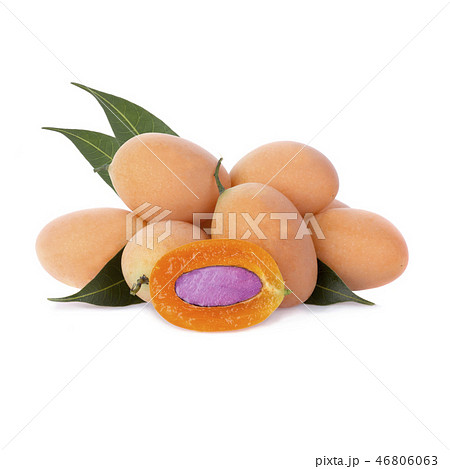 Marian Plum or Plum Mango Marian Plum or Plum Mango 46806063