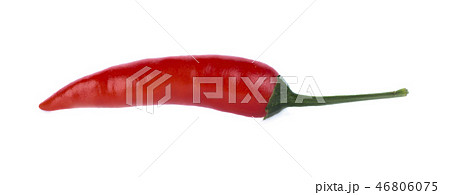 chili pepper 46806075