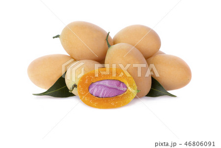 Marian Plum or Plum Mango 46806091