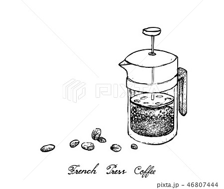 Hand Drawn Of French Press With Coffee Beansのイラスト素材