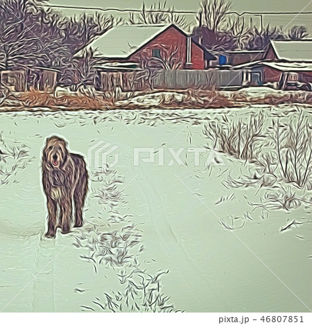 Abstract illustration with dog and village house Abstract illustration with dog and village house 46807851