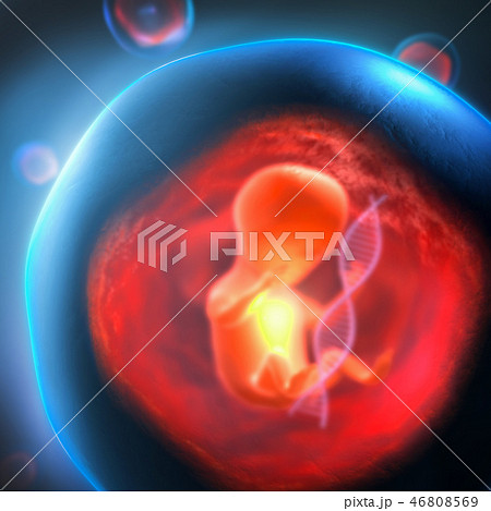 Embryo trapped in a bubble with a DNA strand 46808569