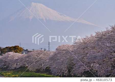 【静岡県】龍巌淵 満開の桜と富士山 46810573