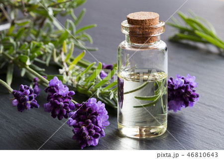 A bottle of lavender essential oil A bottle of lavender essential oil 46810643
