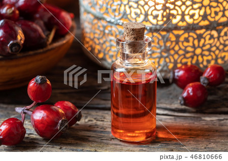 A bottle of rosehip seed oil with dried rosehips A bottle of rosehip seed oil with dried rosehips 46810666