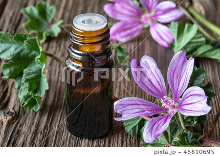A bottle of mallow essential oil  46810695