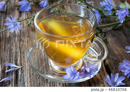 A cup of chicory tea with fresh chicory flowers 46810706