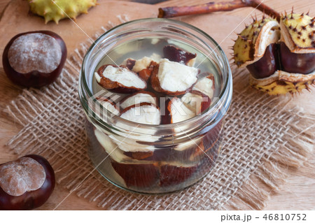 Preparation of tincture from fresh horse chestnuts 46810752
