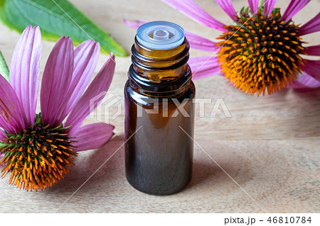 A bottle of echinacea essential oil  46810784