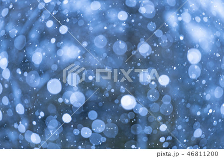 雪が降る冬景色 雪が降る冬景色 46811200