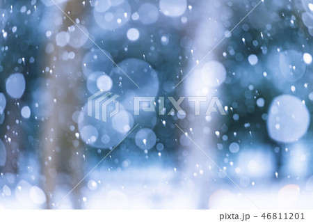 雪が降る冬景色 雪が降る冬景色 46811201