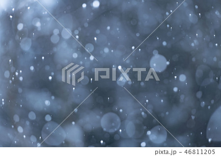 雪が降る冬景色 46811205